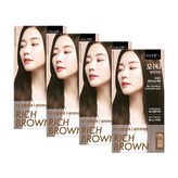 진한갈색 × 4개