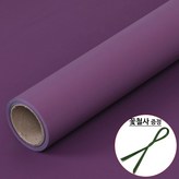 40.진보라색