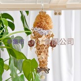 棕色冰淇淋:如圖 × 1個