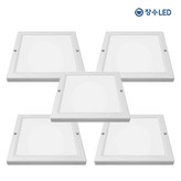 주광색
