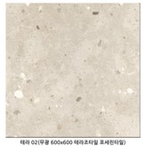 테라 02(무광) × 1개