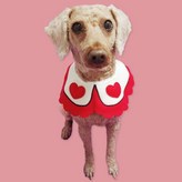 SELLFRE-1515-반려동물 턱받침 B 대 × 1개