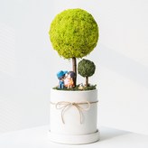 01_스프링그린 × 1개