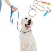 p형오렌지 × 1개