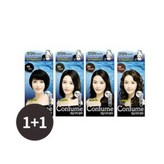 3N진한갈색