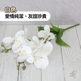 白色,不用花瓶 × 1個