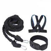 2m탄성로프2개+발스트랩2개+고정스트랩1개 × 1개