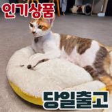 라이트옐로우 × 1개