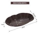全階梯式無排水收藏送龜糧 × 1套