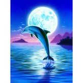 밤하늘의 돌고래