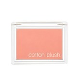 PICNIC 피크닉 블랭킷 블러셔