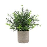 Ｉ迷迭香含盆栽 (W0300) × 1個