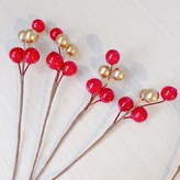 紅金漿果1支-圖片為4支 × 1個