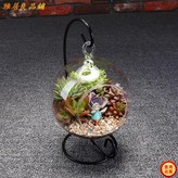 坐石--10cm吊球【散件】,含盆 × 1個