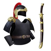 1_봉황 날개 금색 갑옷+자수 춘검 × 1개