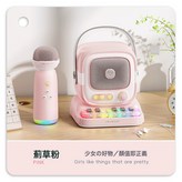 粉紅色:如圖 × 1個
