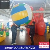 3m 배구 × 1개