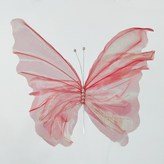 七彩粉:1個 × 1個