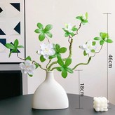 杜鵑2支素呸扁瓶 × 1個