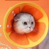 橘子卡口款,M 建議2228cm約58斤 × 1個