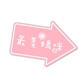 款式A-3 × 1個