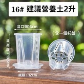 直徑16cm（含託盤） × 1個