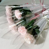 카네이션-연핑크 × 10개