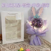 紫色滿天星+發箍+手袋+燈串 × 1件
