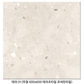 테라 01(무광) × 1개