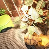 에코 40 x 40cm × 1개