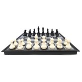 혼합색상 × 1개