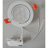 白殼白光 × 1個