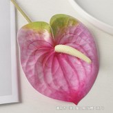 玫紅色 × 1件
