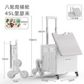 米色,萬向4輪-小號 × 1個