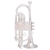 TR-500鍍銀款短號 × 1個