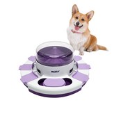 바이올렛 × 1개