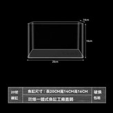 20小號裸缸 可單養 × 1個