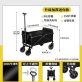 黑色【5寸基礎款】 × 1個