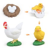 19 닭(성장) × 1개