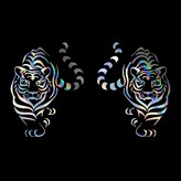 홀로그램 × 1세트