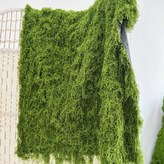 片狀 深綠色30厘米長30厘米寬 × 1個