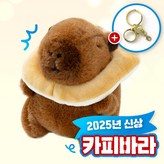 식빵쿠션 카피바라 × 1개