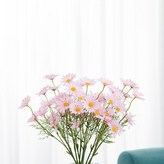 10支粉色雛菊（50朵花） × 1個