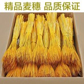 金黃色（100枝) × 1個