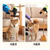 대형 화이트 × 1개