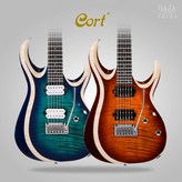 바이올린버스트 × 1개