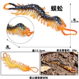 M-1130蜈蚣0019KG:1586 × 1個