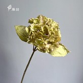 秋綠 × 1個