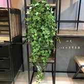 18 lv ivy × 1개