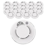 20개